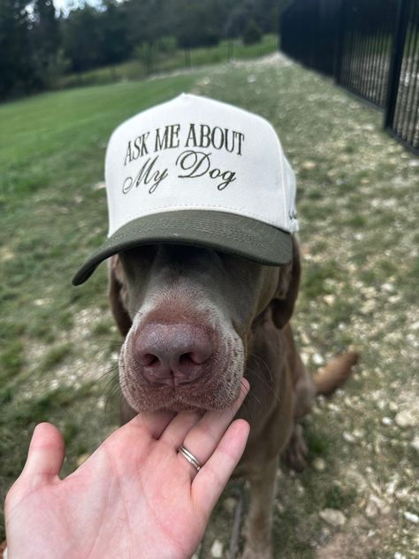 Ships Same Day - Back in stock! The "Ask Me About My Dog" Trucker Hat – your perfect summer hat, brought to you by Pupsentials!Featuring high-quality embroidery by Pupsentials, this hat is designed to catch eyes and spark chats wherever you go.100% Cotton , Adjustable Strap This limited edition drop includes only 100 hats, so grab yours before they're gone! Each hat ships directly from Austin, Texas, ensuring quick delivery and top-notch quality. Don't miss out on this unique way to celebrate yo Trendy Trucker Hats, Funny Trucker Hat, Dog Outfits, Trending Hats, Etsy Boutique, Animal Sweatshirt, Hat Ideas, Dog Hat, Beach T Shirts