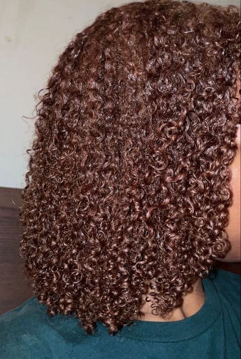 Honey Brown Dyed Hair, Hair Color Ideas On Black Women, Chocolate Natural Hair, Brown Afro Hair Color 4c, Curly Honey Brown Hair, Chocolate Brown Hair Curly, Dark Brown Hair Black Women, Honey Brown 4c Hair, Chocolate Brown Natural Hair