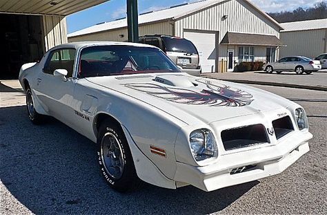 1976 Pontiac Trans Am for sale Trans Am For Sale, Classic Camaro, Pontiac Trans Am, Pontiac Firebird Trans Am, Pontiac Cars, Pontiac Grand Am, Firebird Trans Am, Boys Toys, Bird Watcher