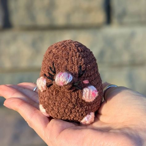 This is Wilbur! Wilbur is the cutest little mole that you will ever encounter. He loves to read and he's very intelligent 🧠🤓. I'm super happy to have been chosen as a tester for Wilbur the mole. The pattern is super cute, quick to crochet easy AND low sew. It is also available right now in @crochetfmty shop (the crochet pattern designer of Wilbur) 🤗 #kawaiiamigurumi #kawaiicrochet #crochetpatternrelease #lowsewcrochet #happyreleaseday Chemistry Crochet Pattern Free, Crochet Mole Pattern Free, Chemistry Crochet, Crochet Mole, Market Crochet, Crochet Easy, Kawaii Crochet, Diy Crochet Projects, Super Happy