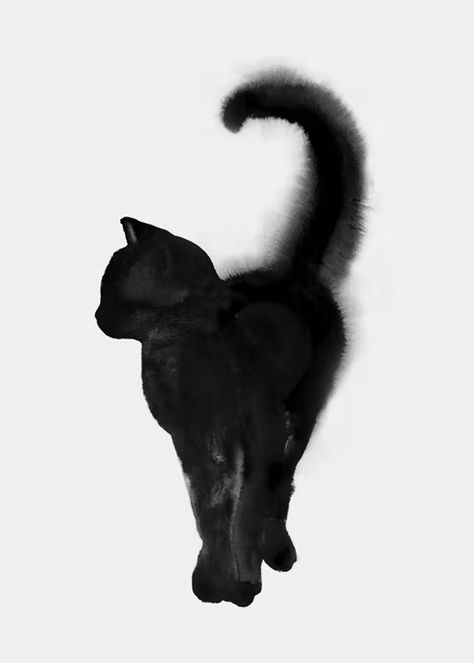 Proud Cat Poster Cat Posters Art Prints, Black And White Cat Painting, Black And White Cats Art, Black Cat Poster, Black Cat Poster Wall Art, Watercolor Cats, Vampire Cat, Widget Board, Scandinavian Designs