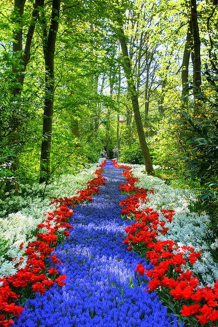 Emmy DE * Path of flowers Keukenhof Lisse, Netherlands by Ryan Mallady www.facebook.com/loveswish Netherlands Tourism, Garden Plan, Crayon Box, Backyard Ideas, Dream Garden, On The Side, Horticulture, Beautiful World, Botanical Gardens