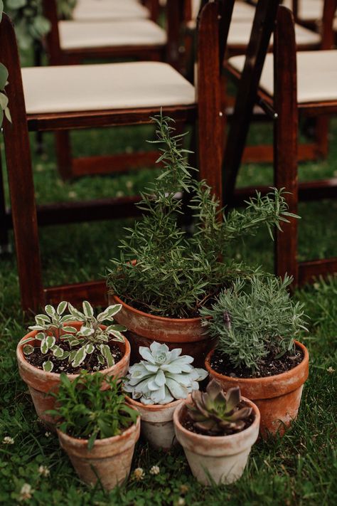 Terracotta Potted Plants Wedding, Potted Plants Wedding Ceremony, Potted Flowers Wedding, Terracotta Pots Wedding, Kumquat Wedding, Sage And Terra Cotta Wedding, Potted Plants Wedding, Potted Plant Centerpieces, Yellowstone Wedding