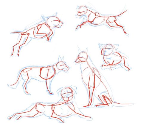 Dog Illustration Art, Dog Drawing Tutorial, Draw A Dog, Dog Anatomy, Sketches Of People, Dog Sketch, Doodle Art Drawing, Animal Study, Canine Art