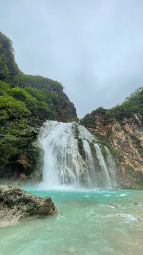 Salalah🌴 Salalah Aesthetic, Salalah Oman, Cute Quick Hairstyles, Salalah, Summer 24, Quick Hairstyles, Photo Quotes, Summer Travel, Travel Bucket List