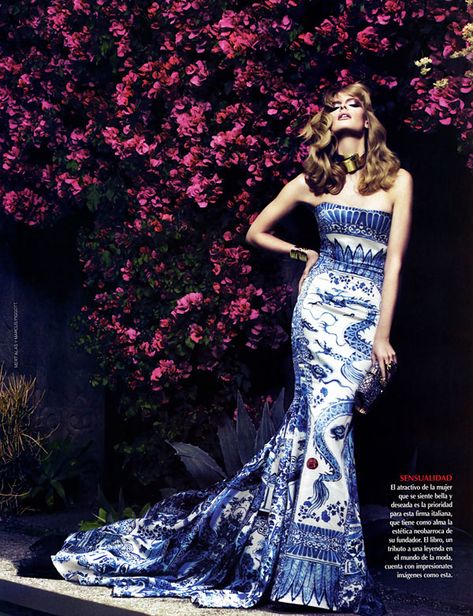 Roberto Cavalli's 'Ming Vase' dress. Wow, rly looks like a vase. (is it pronounced vaahse?) Chinoiserie Dress, Julia Stegner, Porcelain Dress, Mert And Marcus, Anniversary Books, Roberto Cavalli Dress, Cape Fashion, Cavalli Dress, Printed Gowns