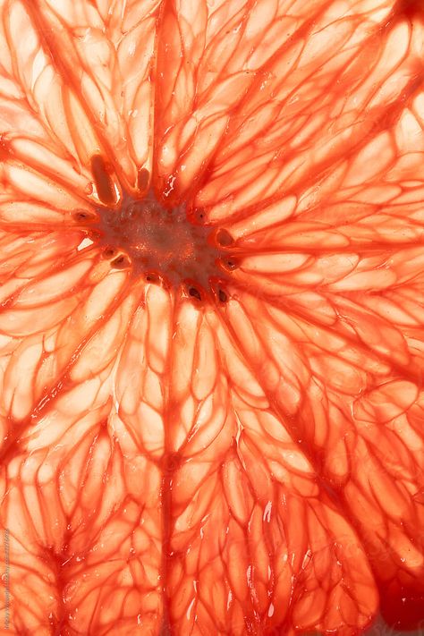 Grapefruit Slice, Foto Macro, Graphisches Design, Texture Inspiration, Fruit Photography, Texture Photography, Close Up Photography, Arte Inspo, A Level Art