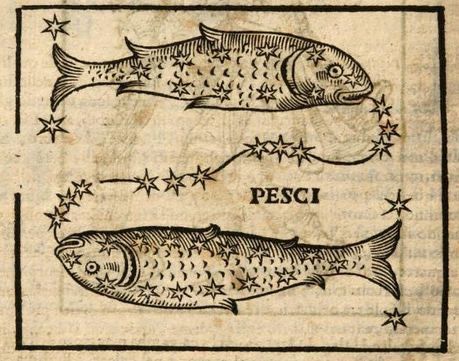 Fish Engraving Illustration, Pieces Tattoo Zodiac, Zodiac Art Illustrations, Zodiac Signs Illustration, Fish Engraving, Astrology Aesthetic, American Traditional Tattoo Ideas, Traditional Tattoo Ideas, Medieval Tattoo