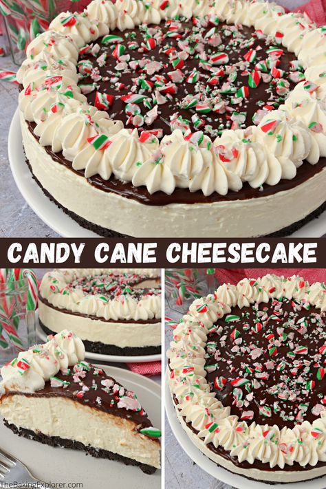 Candy Cane Cheesecake, No Bake Candy, Mint Chocolate Candy, Candy Cane Recipe, Cheesecake No Bake, Peppermint Cheesecake, Candy Cane Cookies, Drink Inspiration, Bake Cheesecake