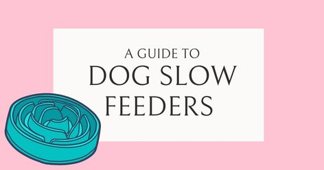 The Complete Guide to Slow Feeder Dog Bowls - Enrich Your Dog's Life Slow Feeder Dog Bowls, Slow Feeder Dog, Dog Enrichment, Enrichment Activities, Slow Feeder, Dog Activities, Bowl Designs, Healthy Eating Habits, Eating Habits