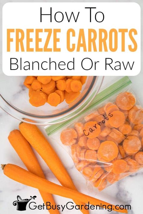 Preserving Carrots, How To Freeze Carrots, Freezing Carrots, Frozen Carrots, Freezing Food Guide, How To Store Carrots, Canned Carrots, Freezing Vegetables, Quick Side Dishes