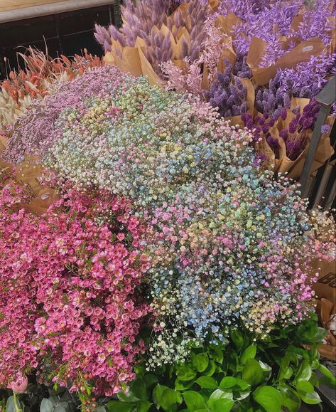 spring flowers, flowers, flower shop, gypsophila, colorful gypsophila Colored Gypsophila, Gypsophila Wedding Decoration, Rainbow Gypsophila, Dreamy Flowers, Gypsophila Wedding, Wedding Decoration, Flower Shop, Spring Flowers, Wedding Decorations