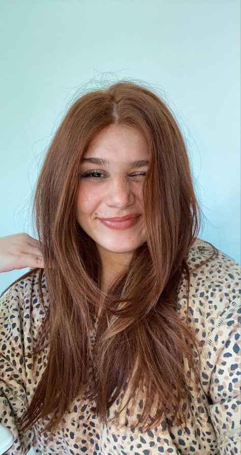 Auburn Hair Color Straight, Ginger 90s Hair, Natural Copper Highlights, Auburn Hair Pale Skin Blue Eyes, Copper Bronze Hair, Red Brown Hair Natural, Copper Hair Gloss, Darker Ginger Hair, Brynn Whitfield Hair