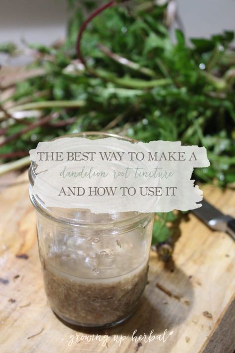 The Best Way to Make a Dandelion Root Tincture | Growing Up Herbal | Looking for a multiuse herb? If so, learn about 10 dandelion root wellness benefits, how to harvest the root, and how to make a dandelion root tincture too. Dandelion Root Tincture, Tinctures Recipes, Natural Remedies For Migraines, Homemade Cleaning Supplies, A Dandelion, Herbal Tinctures, Dandelion Root, Herbal Magic, Herbal Infusion