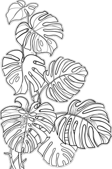 Monstera Drawn, Swiss Cheese Plant Drawing, Monstera Tattoos, Monstera Deliciosa Tattoo, Tropical Leaf Drawing, Monstera Outline, Plant Sleeve, Leaf Tattoo, Swiss Cheese Plant