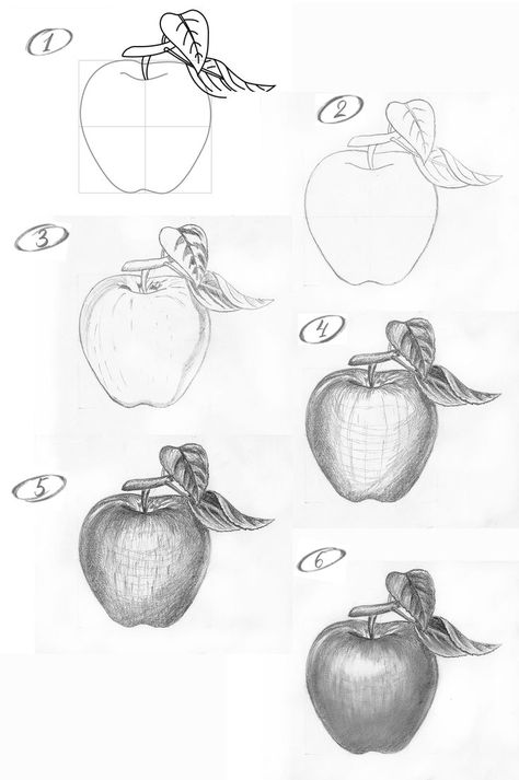 Draw An Apple, Apple Pencil Drawing, Apple Sketch, Apple Leaves, Apple Drawing, Drawing Apple, Fruit Sketch, Basic Sketching, Beginner Sketches