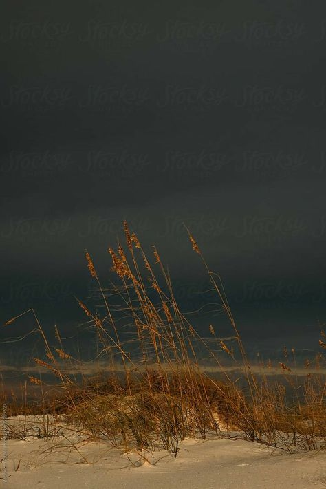 Autumn By The Sea, Autumn Beach Aesthetic, Sky Aesthetic Dark, Stormy Weather Aesthetic, Ominous Aesthetic, Dark Beach Aesthetic, Dark Stormy Sky, Dark Autumn Aesthetic, Grass Aesthetic