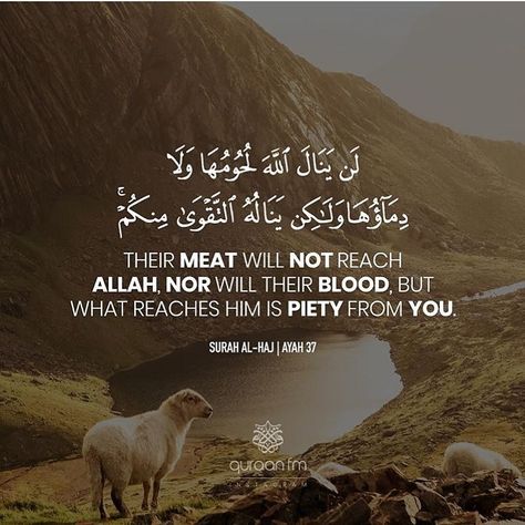 Makkah Sharif, Muslim Words, Trust Allah, Rare Quote, Islam Quotes About Life, Muhammad Quotes, Quran Surah, Allah Quotes, Quran Quotes Love