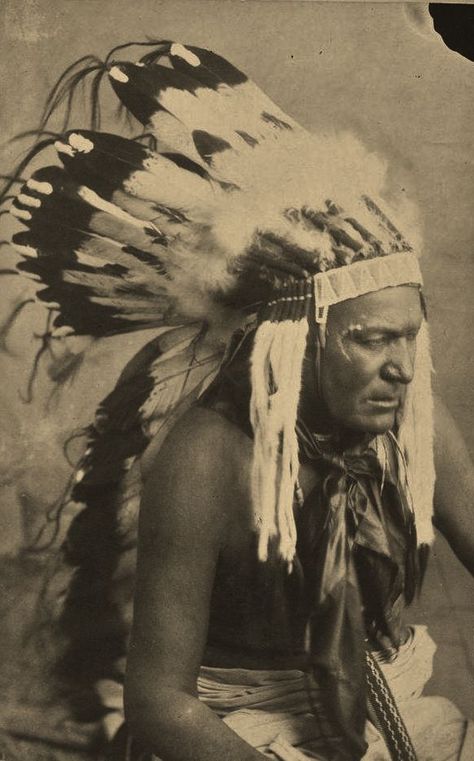 Kobay (aka Wild Horse) - Comanche - circa 1890|ϰλϚϮՀί๔ϵήฬϕɭʃ Chief Sitting Bull, American History Photos, Sitting Bull, American Photo, Native American Pictures, Native American Photos, Native American Peoples, Indian Chief, Native American Tribes