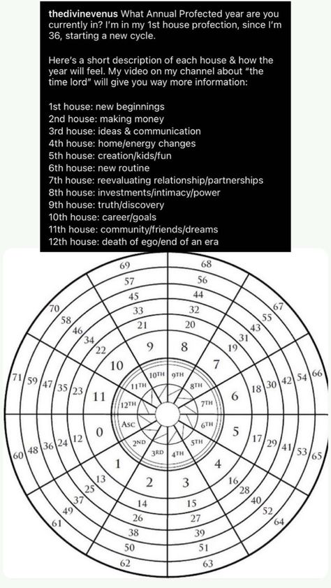 Astrology Degree Chart, Astrology Aspects, Astrology Houses Explained, Astrological Houses Explained, Natal Chart Astrology, Birthchart Astrology Houses, Astronomy Stars, Astro Tarot, Tarot Reading Spreads