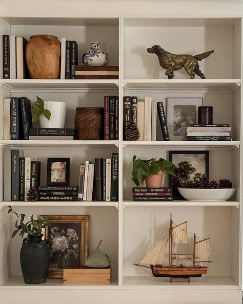 LuckyGreenery Artificial … curated on LTK Four Shelf Bookshelf Decor, Styling Deep Bookshelves, Cubby Bookshelf Decor, Bookshelf Styling In Bedroom, Bedroom Bookshelves Decor, Bookshelf Styling Library, Sitting Room Shelves Ideas, Bookcase With Lamps, Cottage Bookshelf Styling