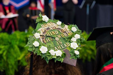 My graduation cap from the hobbit! #tolkien #gradcap #lotr Over The Garden Wall Graduation Cap, Dnd Graduation Cap, Cottagecore Graduation Cap, Lord Of The Rings Graduation Cap, Grad Cap Studio Ghibli, Graduation Cap Atla, Lotr Graduation Cap, Graduation Cap Designs Nature, Moss Graduation Cap