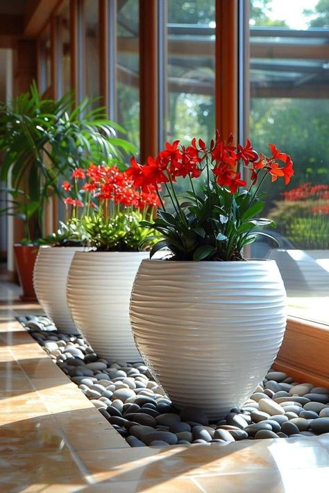 Patio Planter Ideas Plant Pots, Patio Planter Ideas, Indore Plants, Trees In Containers, Fruit Trees In Containers, Patio Flower Pots, Permeable Paving, Small Garden Landscape, Patio Flowers