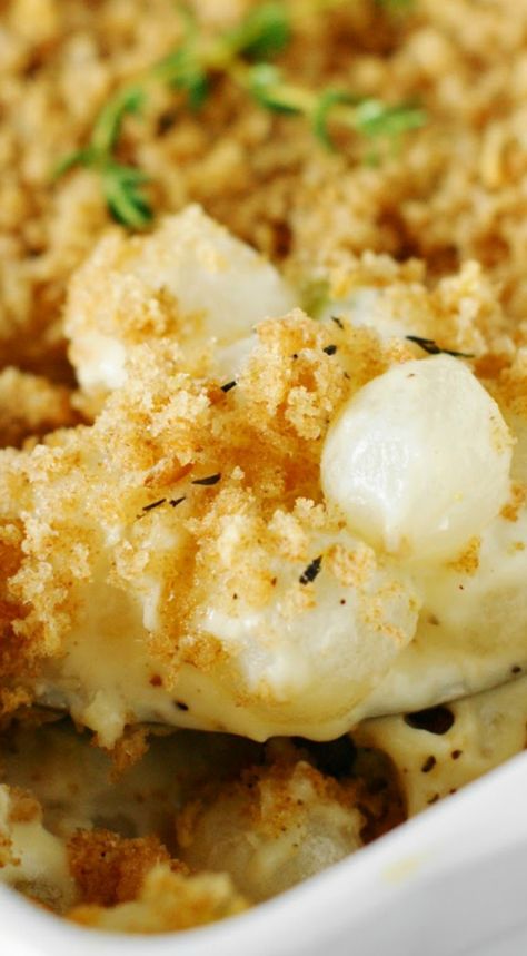 Creamed Pearl Onion Gratin ~ Tender pearl onions are baked in creamy cheesy sauce, delicately seasoned with a fresh thyme crumb topping. Onion Gratin, Pearl Onion Recipe, Thanksgiving Recipes Side Dishes Veggies, Thanksgiving Food Sides, Creamed Onions, Pearl Onions, Thanksgiving Recipes Side Dishes, Thanksgiving Dishes, Cheesy Sauce