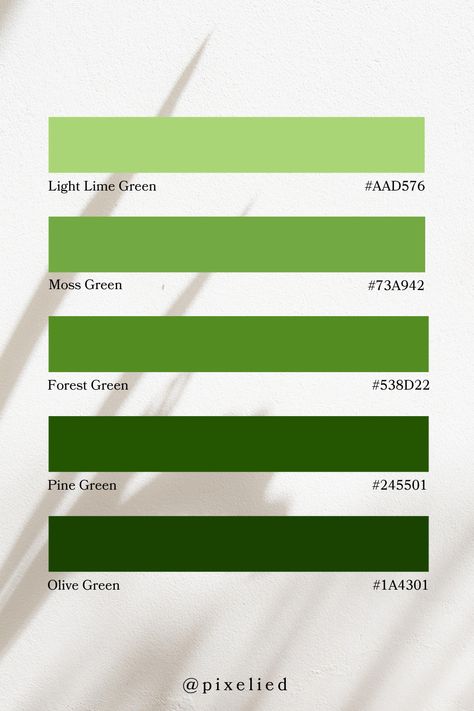 This vibrant green color palette features a range of refreshing and natural hues. It transitions from the bright, lively light lime green and moss green to the deeper, more grounded shades of forest green, pine green, and dark olive green. Perfect for creating a fresh, nature-inspired atmosphere. Bottega Green Color Palette, Pine Green Color Palette, Lime Green Color Combinations, Green Earth Tone, Color Scheme Generator, Branding Boards, Earth Colour Palette, Tone Color Palette, Earth Tone Color Palette