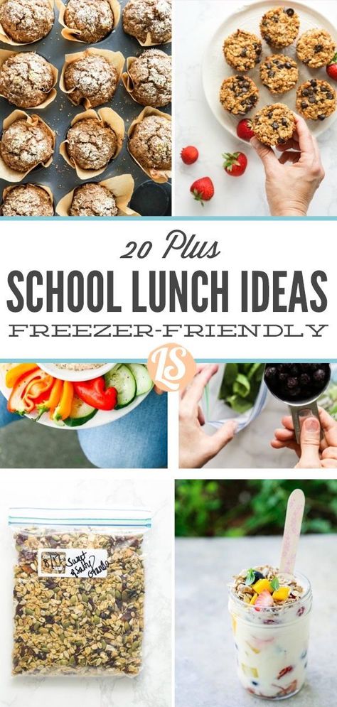 School Lunch Ideas Make Ahead, Frozen School Lunch Ideas, Freezer Meals For School Lunches, Make Ahead School Lunch Ideas, Back To School Freezer Meals, Freezer Kids Lunches, School Lunch Freezer Prep, Freezer Friendly Lunchbox Ideas, Freezer School Lunches