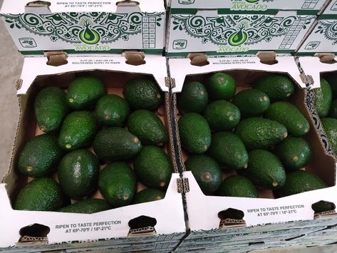 High quality avocados from México to you! Avocados From Mexico, Avocado, High Quality, Mexico