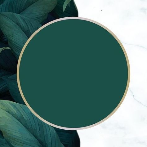 Podium Background, Green Aesthetic Tumblr, Classy Wallpaper, Cute Disney Pictures, Floral Wallpaper Phone, Instagram Frame Template, Little Greene Paint, Instagram Ideas Post, Graphic Design Background Templates