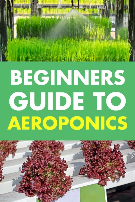 Diy Aeroponics System, Aeroponic Gardening Diy, Aeroponics Diy How To Build, Diy Aeroponics Tower, Hydro Farming, Indoor Crops, Diy Aeroponics, Aeroponics Diy, Hydro Garden