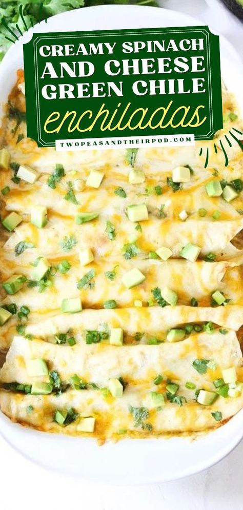 This Creamy Spinach and Cheese Green Chile Enchiladas are the best appetizer recipe! These vegetarian enchiladas are so satisfying and filling. Add this to your favorite delicious dinner recipes! Spinach Enchiladas Vegetarian, Weight Watchers Spinach And Cheese Enchiladas, Spinach And Cheese Enchilada Recipe, Spinach Enchiladas Verde, Spinach And Cream Cheese Enchiladas, Spinach Enchiladas Joanna Gaines, Easy Enchiladas Vegetarian, Enchilada Verde Recipe Vegetarian, Chicken Spinach Enchiladas Easy