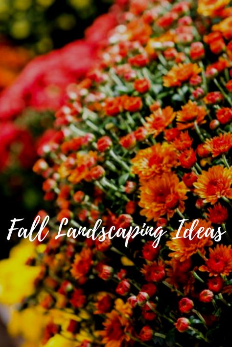 Is your garden ready for fall? take a look at these fall landscaping ideas to get your creative juices flowing. Patio Landscape Ideas, Fall Landscaping Ideas, Fall Landscaping Front Yard, Fall Landscaping, Fall Yard, Landscape Garden Design, Front Yards Curb Appeal, Landscape Architecture Drawing, Fall Decorating Ideas