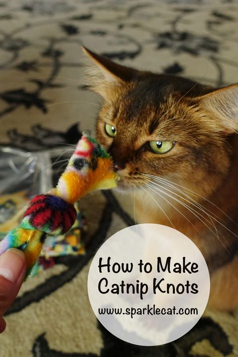 Fleece Catnip Toys Diy, How To Make Catnip Toys, Cat Toys To Sew, Felt Catnip Toys Diy, Diy Catnip Toys No Sew, Fleece Cat Toys Diy, Cat Kicker Toy Diy, Crochet Catnip Toys Free Pattern, Catnip Toys Diy