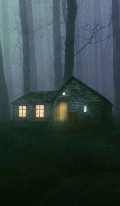 Cabin In The Woods Creepy, Spooky Landscapes, Creepy Landscapes, Spooky Cabin, Dark Cabin, Creepy Woods, Goth Cottage Core, The Night Stalker, Night Stalker