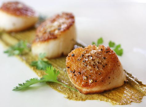 Pistachio-Cilantro Butter and Seared Scallops Cilantro Butter, Geoffrey Zakarian, Seared Scallops, Coquille Saint Jacques, Honey Sauce, Scallop Recipes, Summer Dishes, Scallops Seared, Saint Jacques