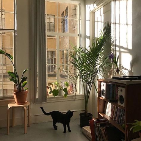 aesthetic , House , home , room , alternative , vintage , black cat , cute , indie , soft grunge , Hipster , Cat Apartment, Vintage Apartment, Aesthetic Apartment, Trendy Apartment, Apartment Goals, Apartment Decoration, Old Apartments, Have Inspiration, Apartment Aesthetic