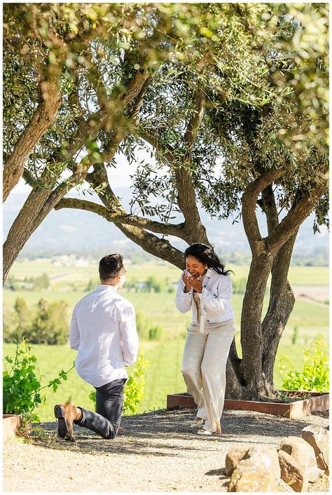 Surprise Proposal at Viansa Winery in Sonoma, California Napa Valley Proposal, Vineyard Proposal, Winery Proposal, Secret Engagement, Viansa Winery, Napa Wineries, Sonoma California, Get Engaged, Sonoma Wedding