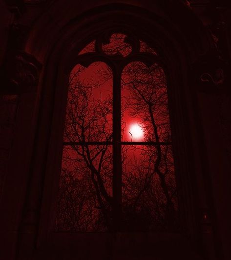 red gothic style vampire aesthetic moon dark vibes Vampire Goth Room Decor, Vampire Aesthetic Banner, Vintage Vampire Aesthetic, Vampiric Aesthetic, Gothic Vampire Aesthetic, Dracula Aesthetic, Gothic Imagery, Vampire Room, Winter Gothic