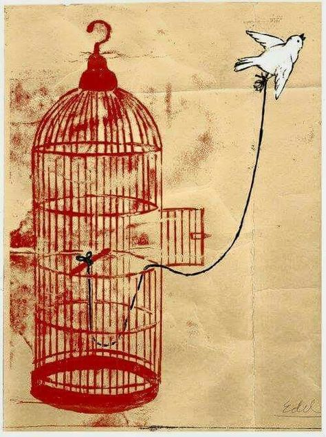 Birdcage Tattoo, Bird Trap, معرض فني, Bird In A Cage, Cage Tattoos, Dove Tattoos, The Caged Bird Sings, Bird Quotes, Red Images