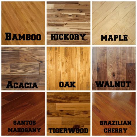 Choosing Hardwood Flooring |  Hardwood - just the word evokes images of charm, richness, and classic looks. Wood floors last a lifetime and gain “character” with age. Given the wide array of flooring options available, you’re bound to find one that fits your lifestyle and budget. Here are some of the main options you have when selecting a hardwood floor, including sheen levels, widths, species, and more! Acacia Wood Flooring, Types Of Hardwood Floors, Types Of Wood Flooring, Hardwood Floor Colors, Cleaning Tile Floors, Oak Laminate Flooring, Light Hardwood, Hardwood Floors Dark, Light Hardwood Floors