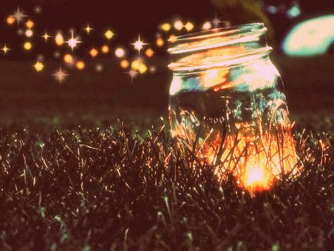 Giver Aesthetic, Lights Tumblr, Fireflies In A Jar, Gif Art, Catching Fireflies, Tumblr Hipster, Summer Dates, Party Photography, Firefly