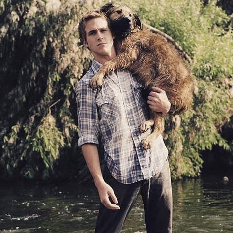 Райан Гослинг, Eva Mendes, Man And Dog, Ryan Gosling, Hey Girl, Mans Best Friend, Animals Friends, Famous People, Puppy Love