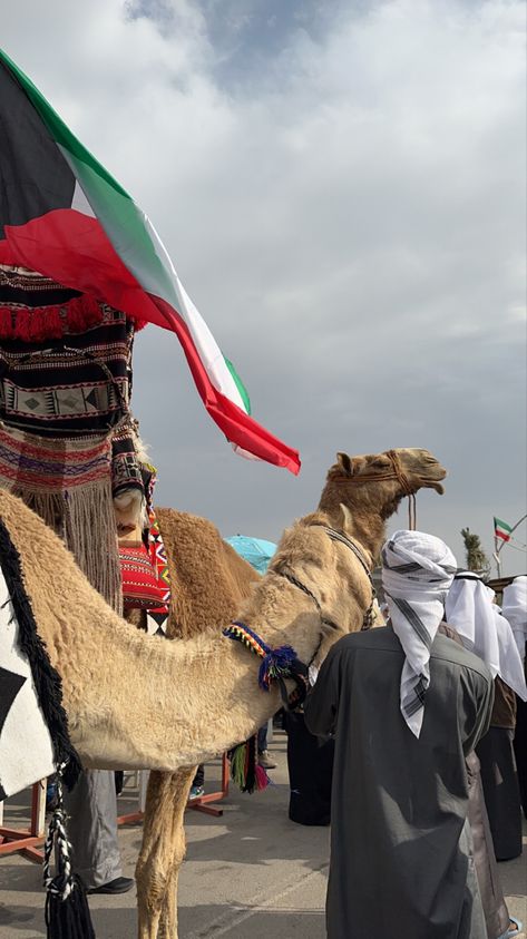 Summer In Kuwait, Kuwaiti Flag, Kuwaiti Vibes, Kuwait Culture And Tradition, Horse Riding Kuwait, Kuwait Flag, Arab Aesthetic, Kuwait National Day, Kuwait Old Photos