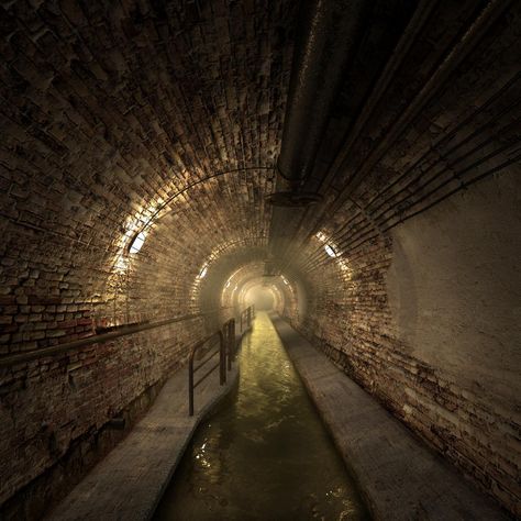 Sewer Aesthetic, Chinese Buildings, Stardew Valley, Low Poly, Urban Decay, Rats, Dungeons And Dragons, Aesthetic Pictures, Basement