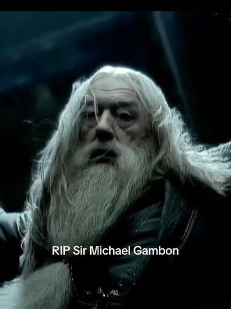 Teamfilipinass Luzbiminda on Instagram: "“Happiness can be found even in the darkest of times” RIP Professor Dumbledore🧙🏻‍♂️ Sir Michael Gambon, Dumbledore in Harry Potter, has died aged 82 #michaelgambon #dumbledore #harrypotter #dumbledoresarmy" Professor Dumbledore, Michael Gambon, The Darkest, Harry Potter, On Instagram, Instagram