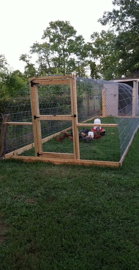 Reban Ayam, Green Therapy, Cute Chicken Coops, Chicken Coop Garden, Chicken Barn, Backyard Chicken Coop Plans, Diy Chicken Coop Plans, Chicken Coop Run, Backyard Chicken Farming