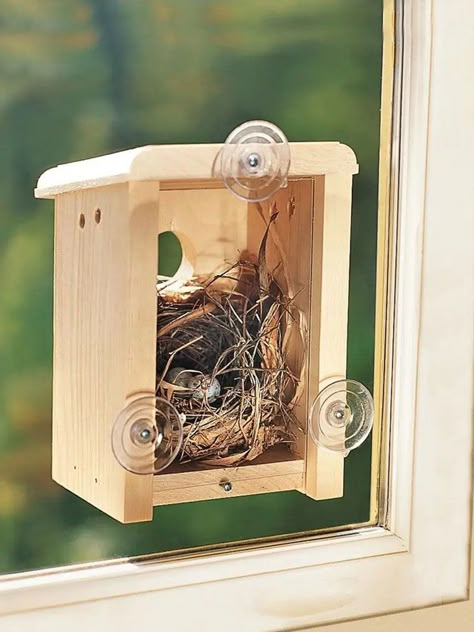 Cool Bird Houses, Homemade Bird Houses, Window Bird Feeder, Bird Houses Ideas Diy, Bird House Feeder, Nest Box, Bird House Plans, Bird House Kits, Diy Bird Feeder